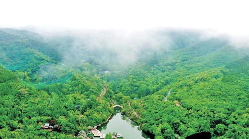 抓住暑期尾巴 在济南邂逅多彩盛夏